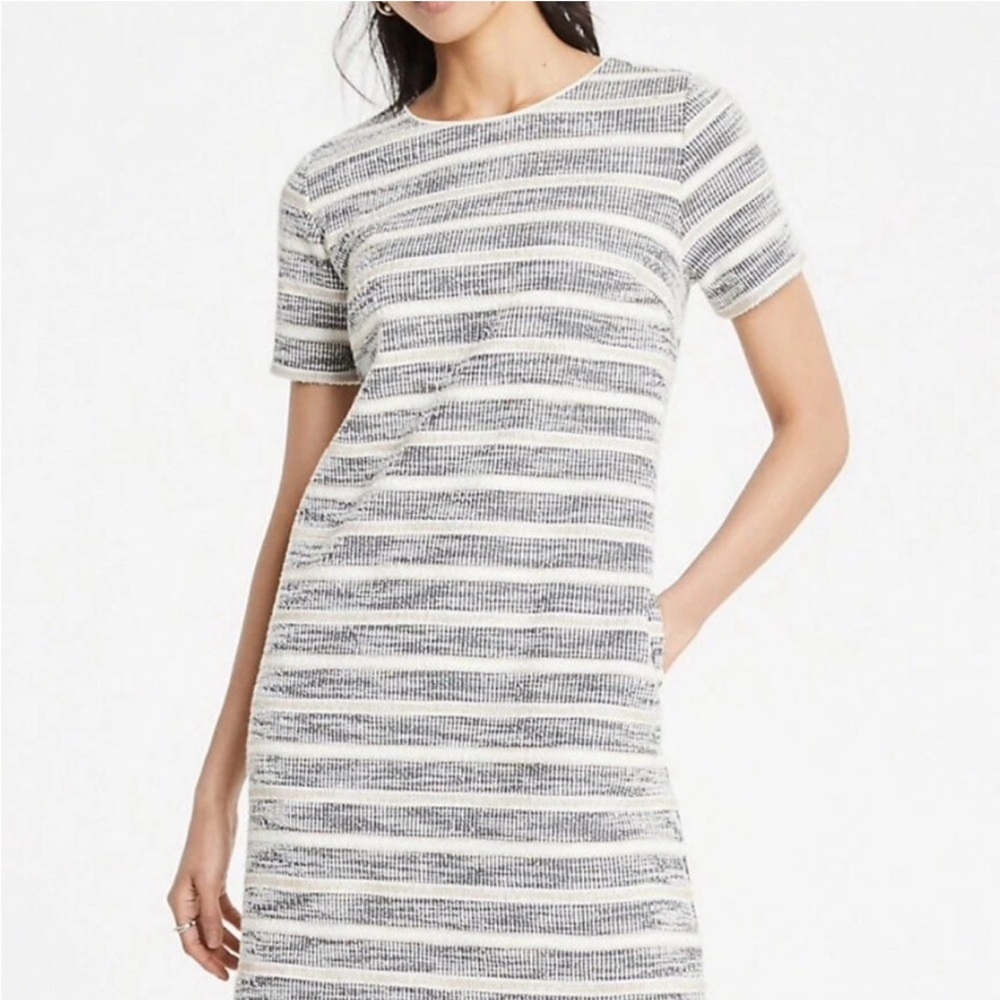 Striped Short Sleeve Dress